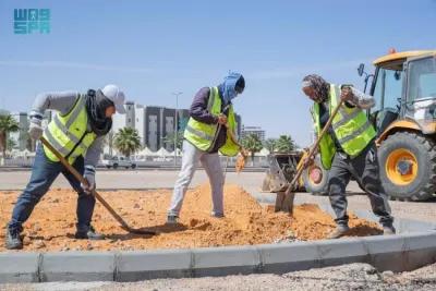 أمانة الجوف تبدأ تنفيذ 