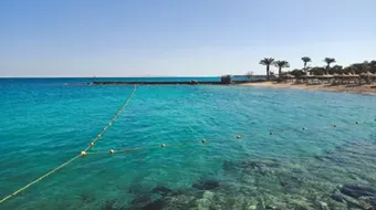 عاجل: اكتشاف كنوز جديدة في مصر ستجعل أم الدنيا