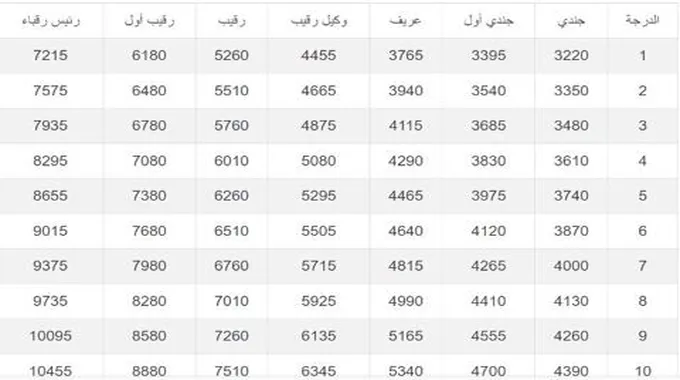 تعرف على سلم الرواتب الجديدة بعد الزيادة في