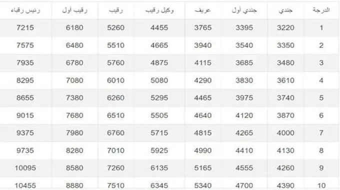 عاجل.. زيادة رواتب الأطباء والعسكريين في