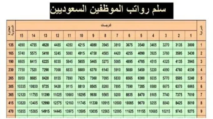 عاجل/ أمر ملكي بزيادة 1000 ريال لرواتب جميع