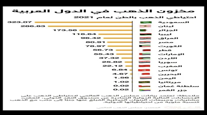 السعودية تدخل العام الجديد 2024 بأكبر اكتشاف في