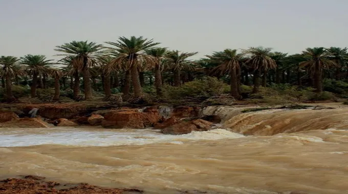 شاهد: اكبر واجمل الاوديه واطولها في